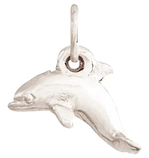 Dolphin Mini Charm